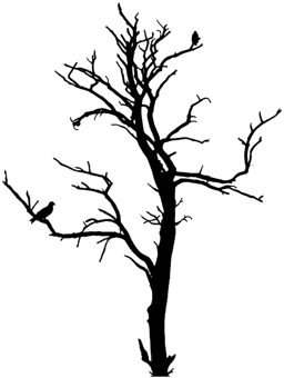 Crooked Sixpence Logo